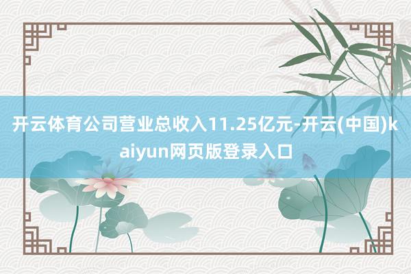 开云体育公司营业总收入11.25亿元-开云(中国)kaiyun网页版登录入口