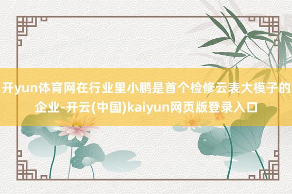开yun体育网在行业里小鹏是首个检修云表大模子的企业-开云(中国)kaiyun网页版登录入口